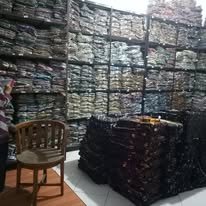Galeri Bullet Batik Tegal